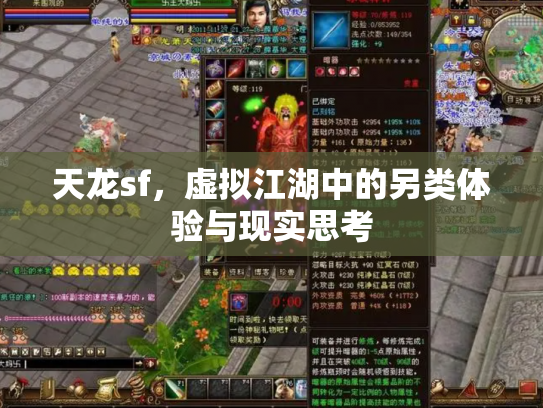 天龙sf，虚拟江湖中的另类体验与现实思考