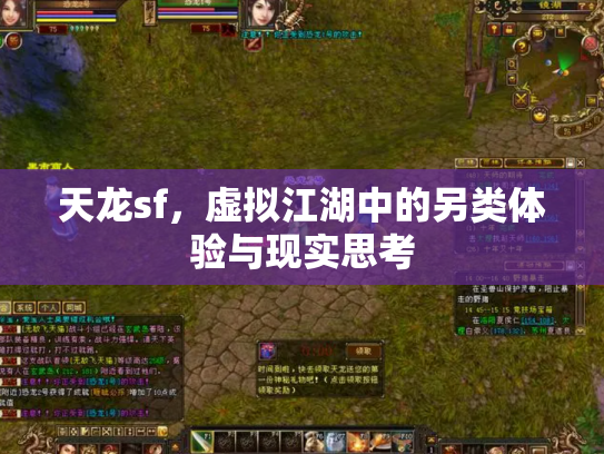 天龙sf，虚拟江湖中的另类体验与现实思考