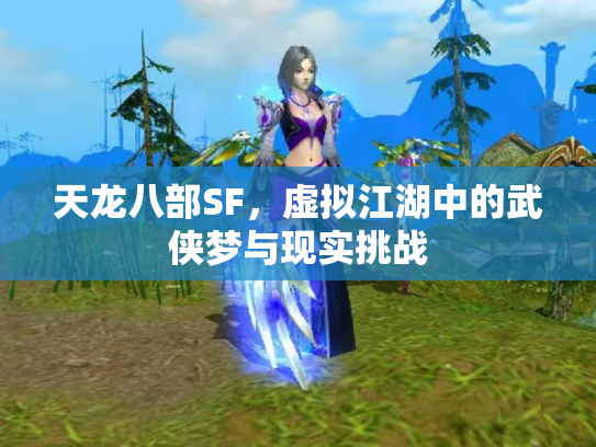 天龙八部SF，虚拟江湖中的武侠梦与现实挑战