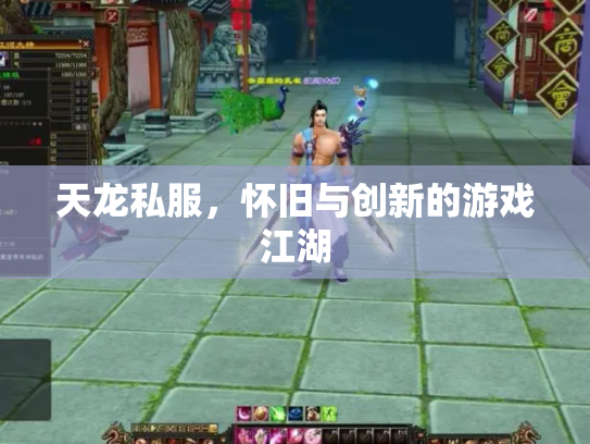 天龙私服，怀旧与创新的游戏江湖