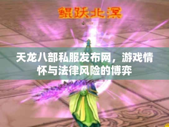 天龙八部私服发布网，游戏情怀与法律风险的博弈