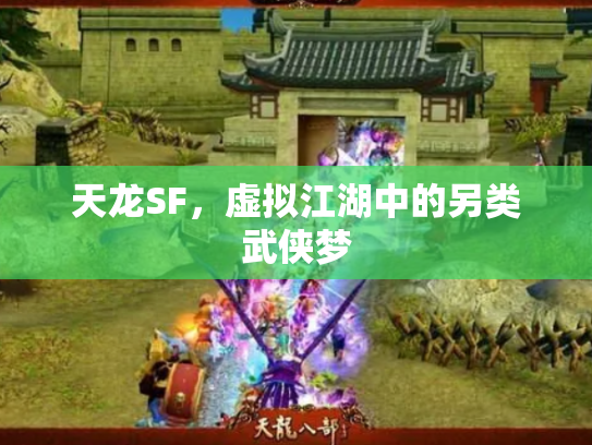 天龙SF，虚拟江湖中的另类武侠梦