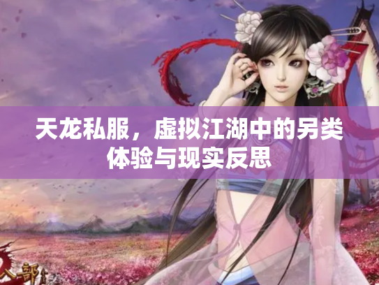 天龙私服，虚拟江湖中的另类体验与现实反思