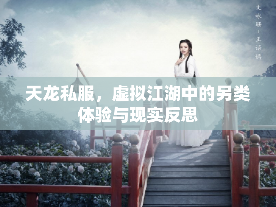 天龙私服，虚拟江湖中的另类体验与现实反思