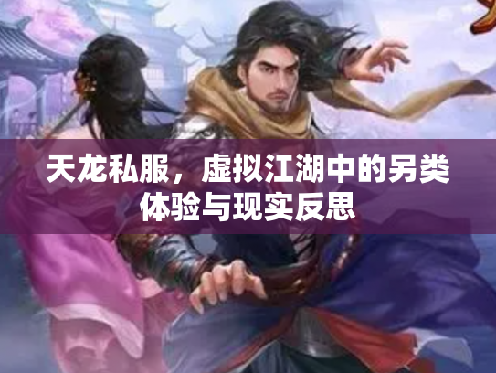 天龙私服，虚拟江湖中的另类体验与现实反思