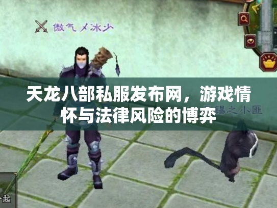 天龙八部私服发布网，游戏情怀与法律风险的博弈