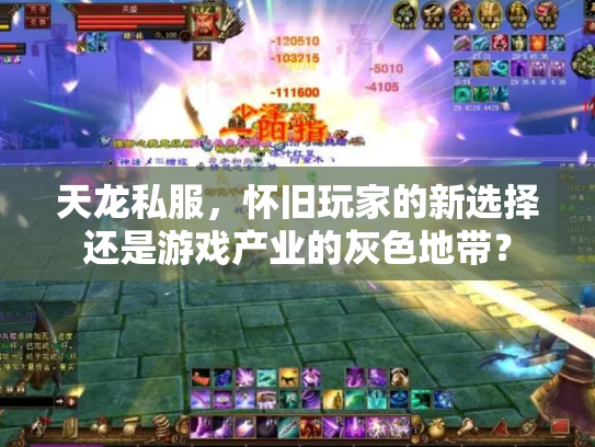 天龙私服，怀旧玩家的新选择还是游戏产业的灰色地带？