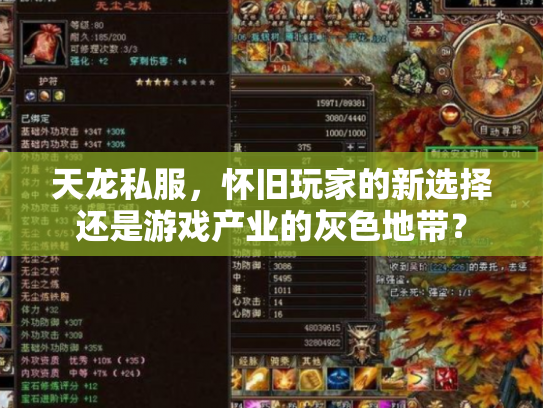 天龙私服，怀旧玩家的新选择还是游戏产业的灰色地带？