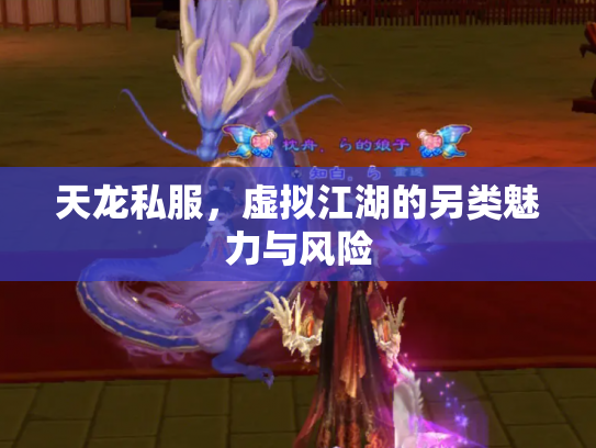 天龙私服，虚拟江湖的另类魅力与风险