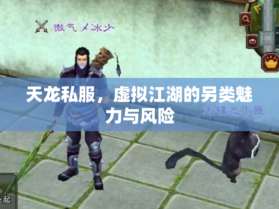 天龙私服，虚拟江湖的另类魅力与风险