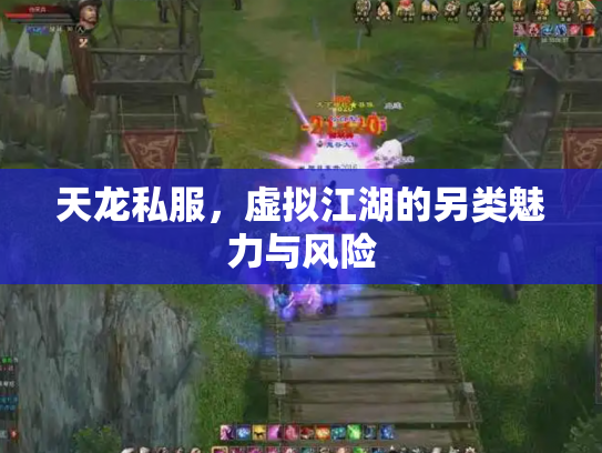 天龙私服，虚拟江湖的另类魅力与风险
