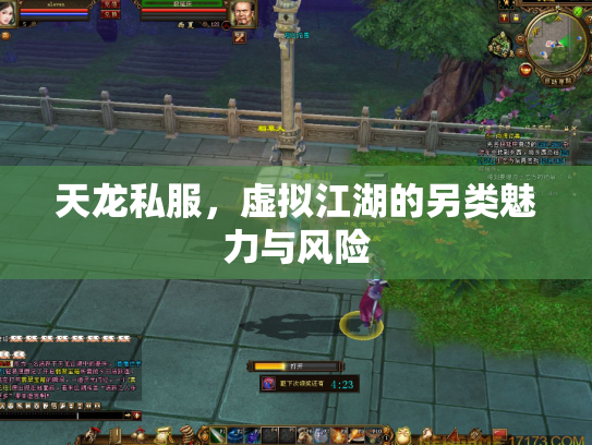 天龙私服，虚拟江湖的另类魅力与风险