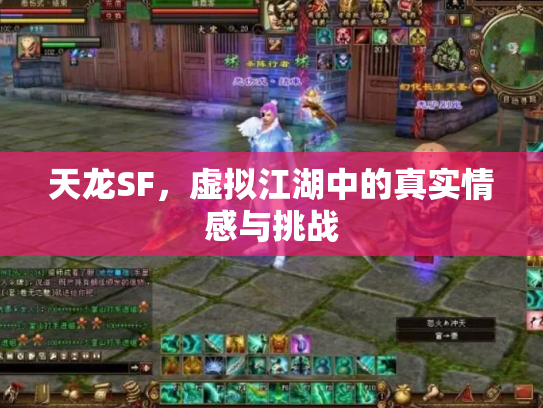 天龙SF，虚拟江湖中的真实情感与挑战