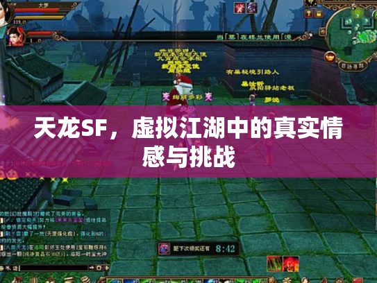 天龙SF，虚拟江湖中的真实情感与挑战