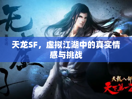 天龙SF，虚拟江湖中的真实情感与挑战