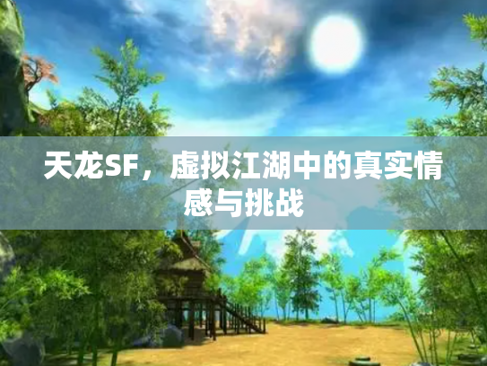 天龙SF，虚拟江湖中的真实情感与挑战