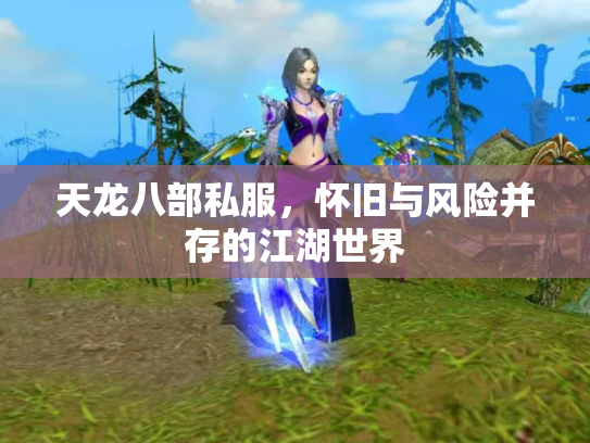 天龙八部私服，怀旧与风险并存的江湖世界