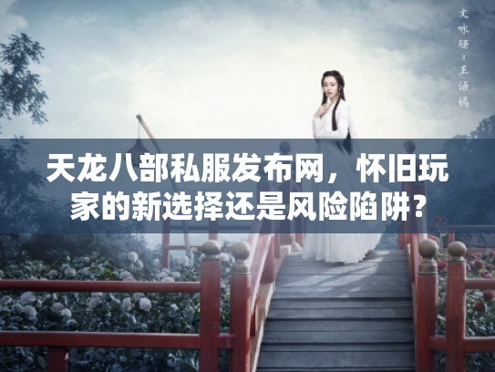 天龙八部私服发布网，怀旧玩家的新选择还是风险陷阱？
