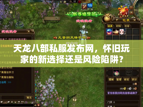 天龙八部私服发布网，怀旧玩家的新选择还是风险陷阱？