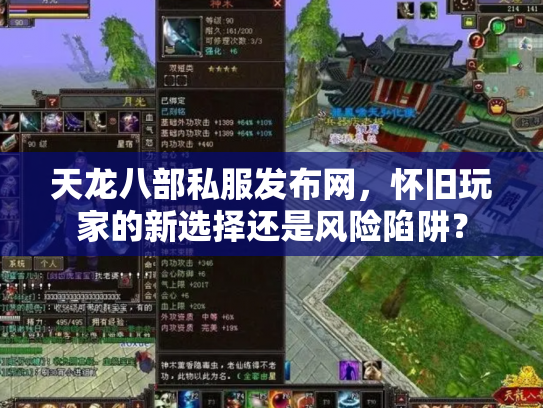 天龙八部私服发布网，怀旧玩家的新选择还是风险陷阱？
