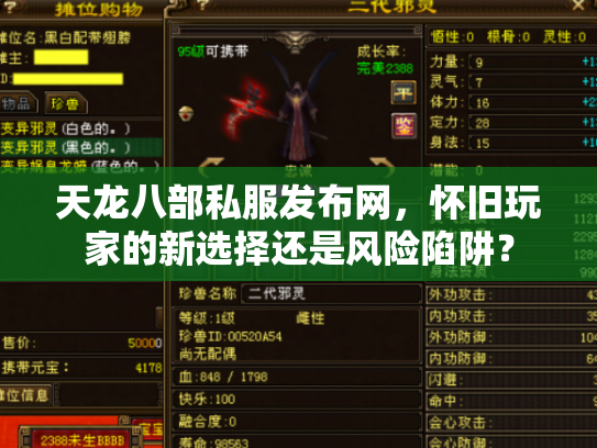 天龙八部私服发布网，怀旧玩家的新选择还是风险陷阱？