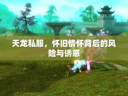 天龙私服，怀旧情怀背后的风险与诱惑