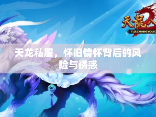 天龙私服，怀旧情怀背后的风险与诱惑