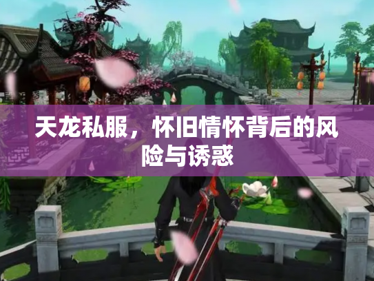 天龙私服，怀旧情怀背后的风险与诱惑