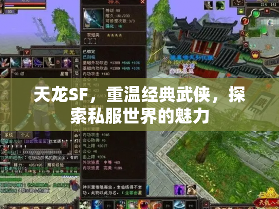 天龙SF，重温经典武侠，探索私服世界的魅力