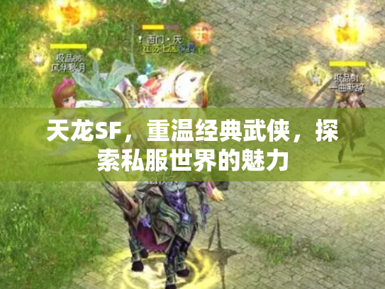 天龙SF，重温经典武侠，探索私服世界的魅力