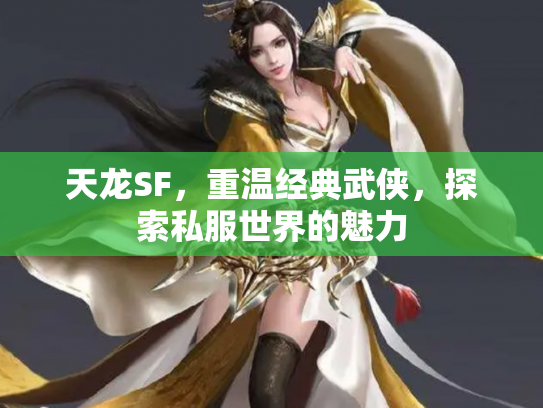 天龙SF，重温经典武侠，探索私服世界的魅力