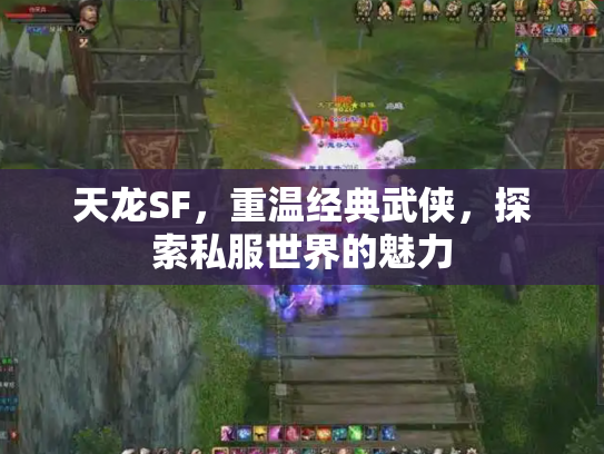 天龙SF，重温经典武侠，探索私服世界的魅力