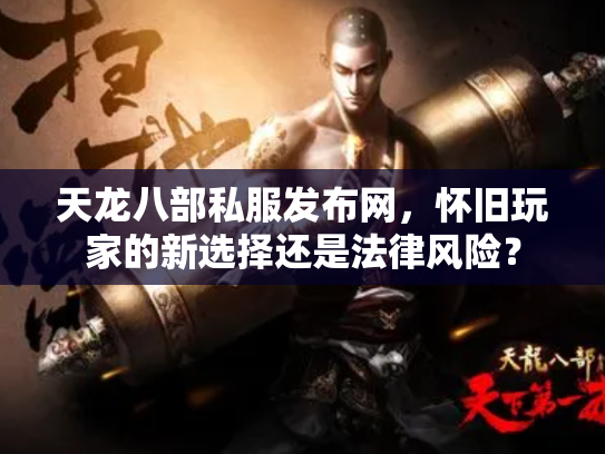 天龙八部私服发布网，怀旧玩家的新选择还是法律风险？