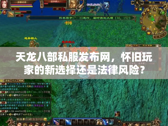 天龙八部私服发布网，怀旧玩家的新选择还是法律风险？