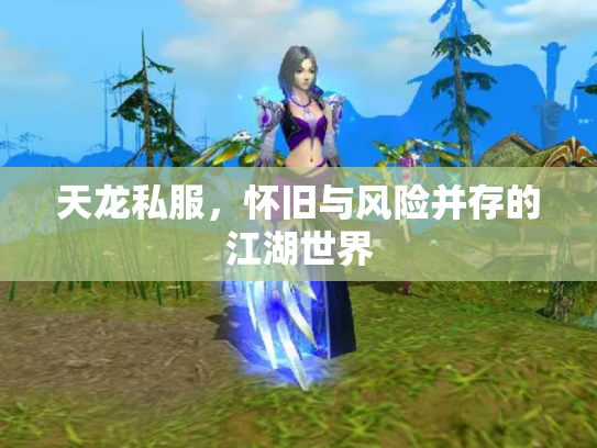 天龙私服，怀旧与风险并存的江湖世界