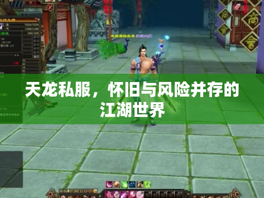 天龙私服，怀旧与风险并存的江湖世界