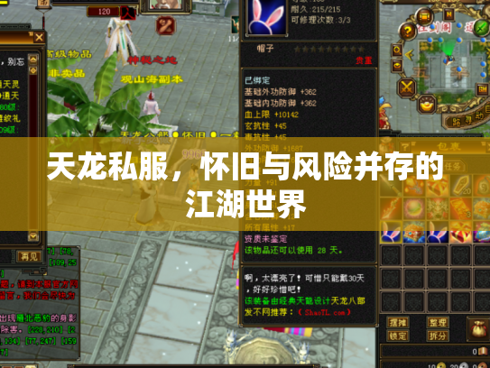天龙私服，怀旧与风险并存的江湖世界