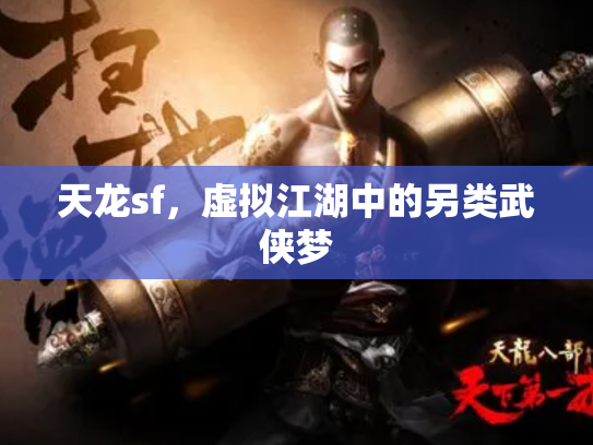 天龙sf，虚拟江湖中的另类武侠梦