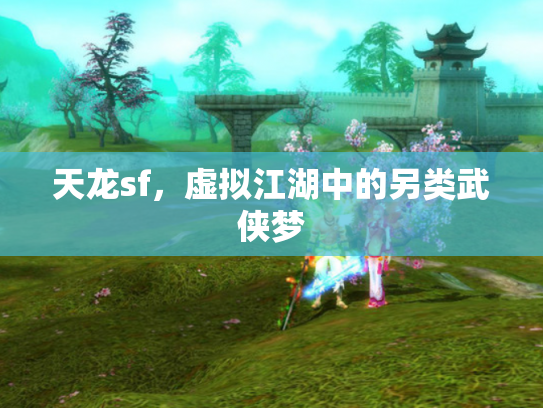 天龙sf，虚拟江湖中的另类武侠梦