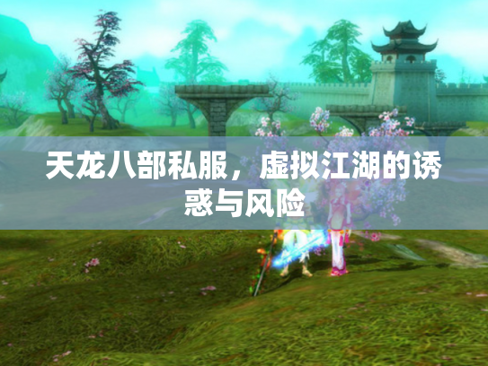 天龙八部私服，虚拟江湖的诱惑与风险