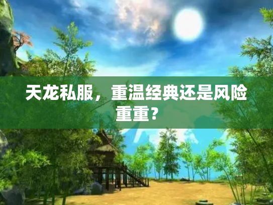 天龙私服，重温经典还是风险重重？