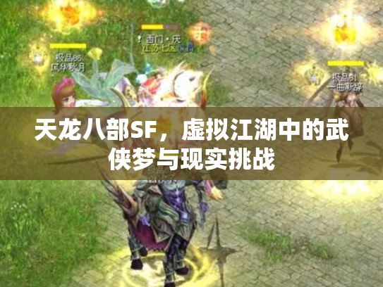 天龙八部SF，虚拟江湖中的武侠梦与现实挑战