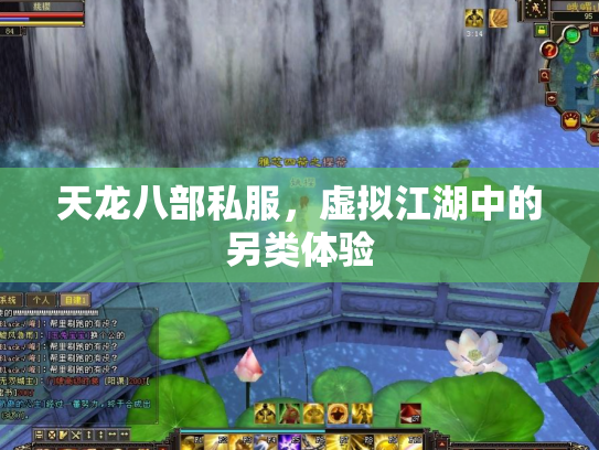 天龙八部私服，虚拟江湖中的另类体验