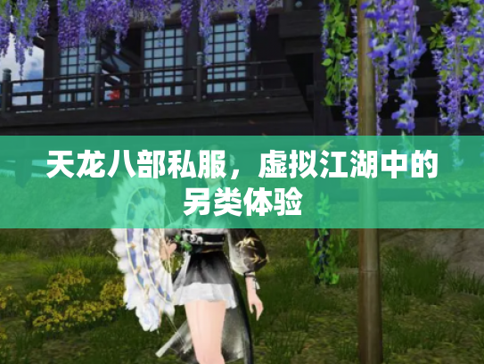 天龙八部私服，虚拟江湖中的另类体验