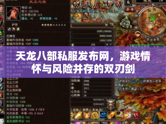 天龙八部私服发布网，游戏情怀与风险并存的双刃剑