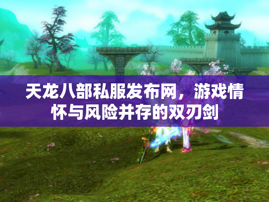 天龙八部私服发布网，游戏情怀与风险并存的双刃剑