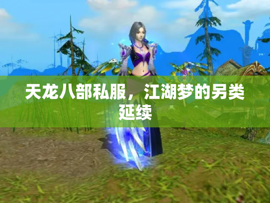 天龙八部私服，江湖梦的另类延续