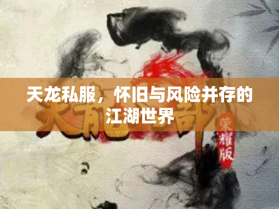 天龙私服，怀旧与风险并存的江湖世界
