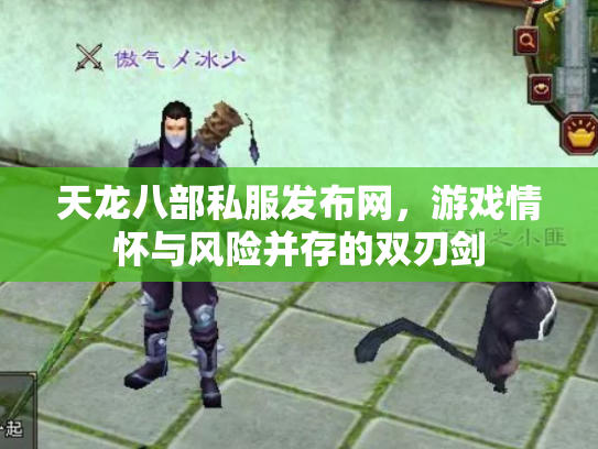 天龙八部私服发布网，游戏情怀与风险并存的双刃剑
