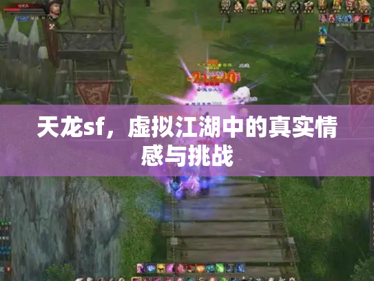 天龙sf，虚拟江湖中的真实情感与挑战